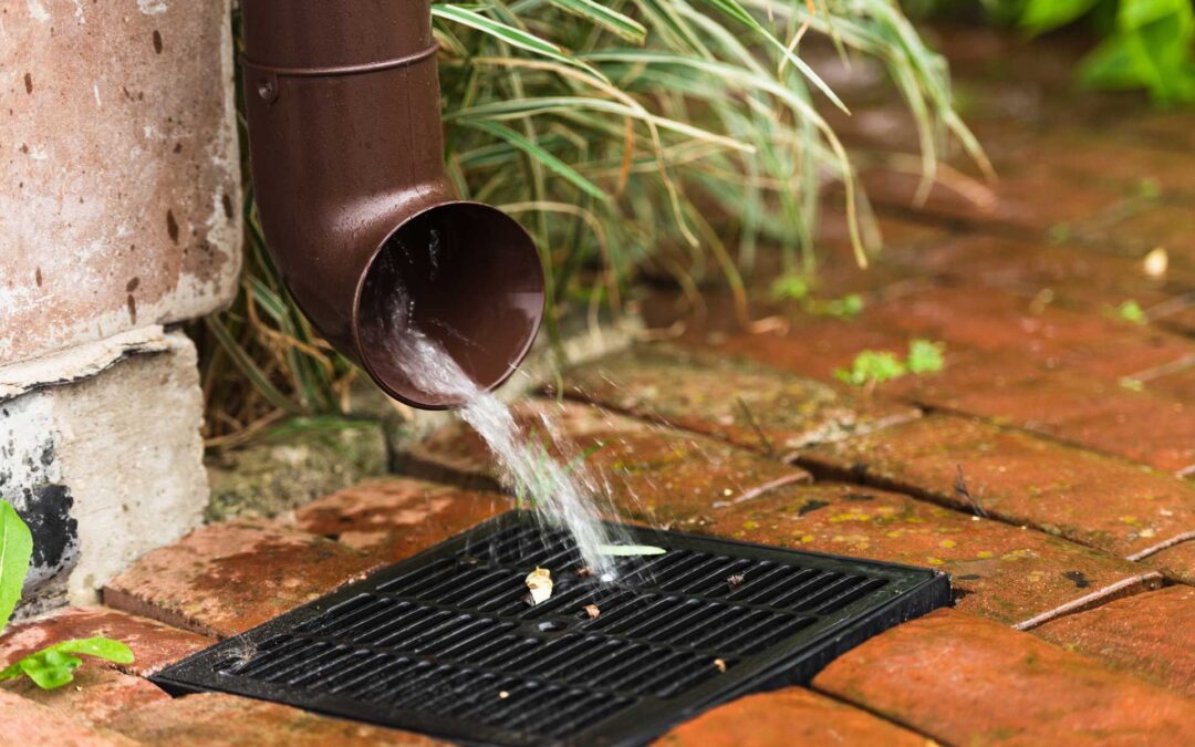 From Roof to Ground: How Catch Basins Manage Rainwater Where It Matters Most