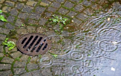 Signs Your Catch Basin Is About to Overflow