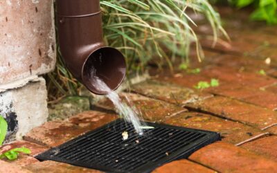 From Roof to Ground: How Catch Basins Manage Rainwater Where It Matters Most