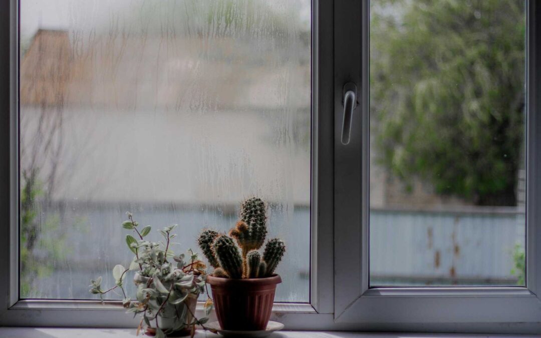 Waterproofing Isn’t Enough: Why Catch Basins Complete the Protection Around Windows and Doors