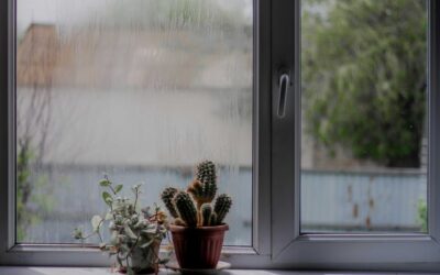 Waterproofing Isn’t Enough: Why Catch Basins Complete the Protection Around Windows and Doors