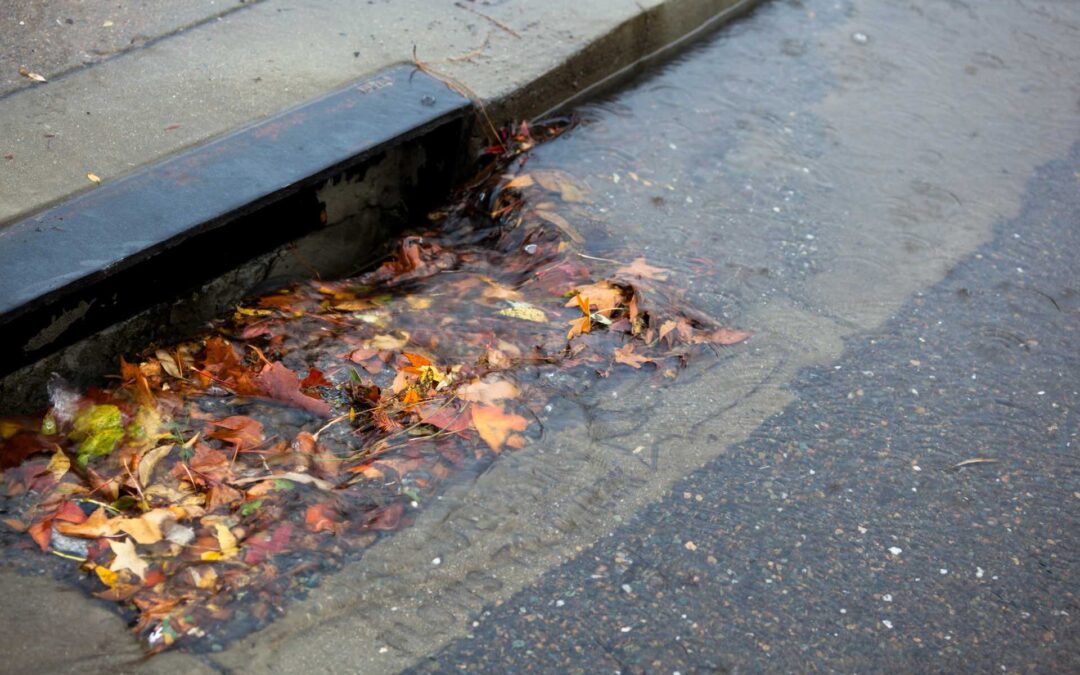 Why Fall Is the Most Important Time to Clean Your Catch Basin