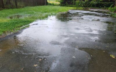 The Dangers of Stagnant Water on Your Property