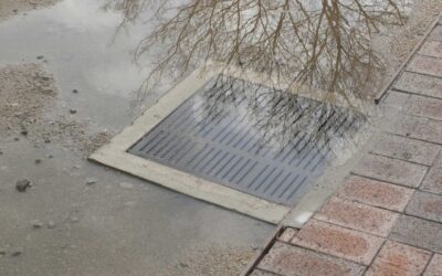 Why Your Property Catch Basin is Draining Slowly