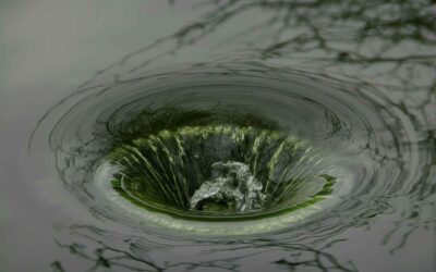 Catch Basin Collapse: Early Warning Signs, Causes, and Preventative Repairs