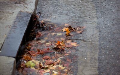 Leaves, Lawns, and Line Blockages: Preparing Residential Catch Basins for Canadian Autumn Leaves
