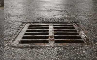 How to Clean a Residential Catch Basin: A Step-by-Step DIY Guide (and When to Call the Pros)